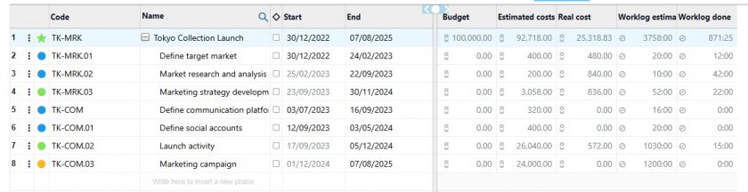 financial data and  Gantt chart