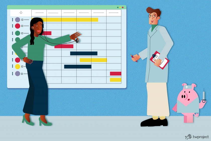 Healthcare project management - twproject project management software