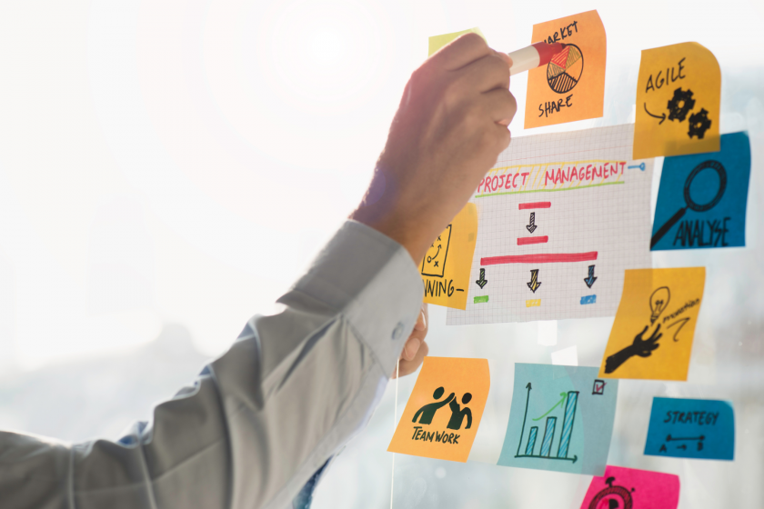 project manager sanitario twproject software