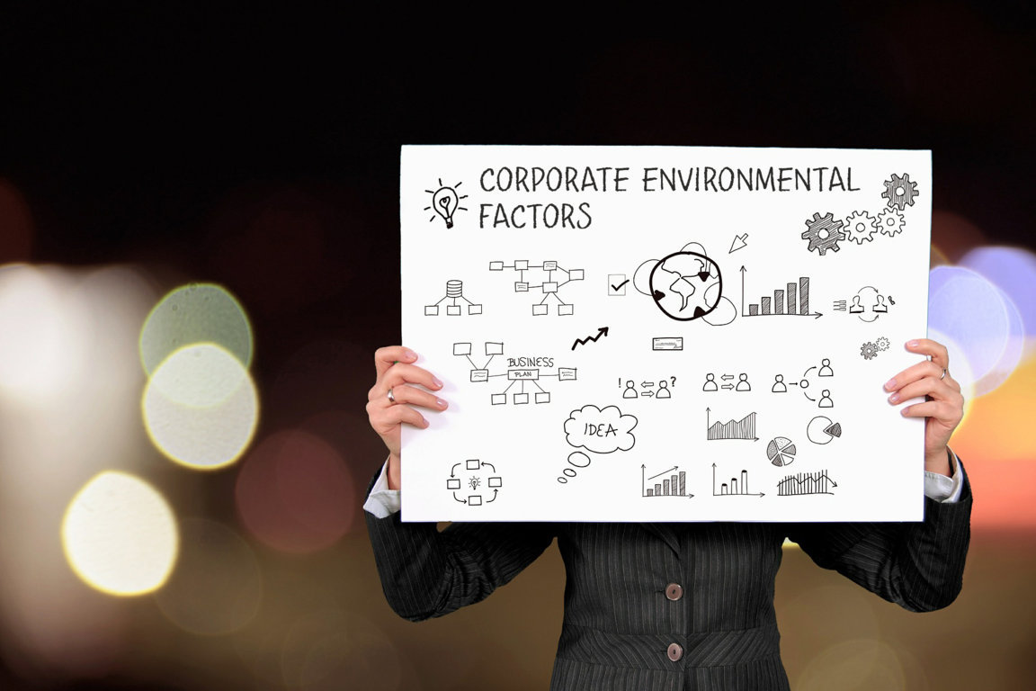 The internal and external corporate environmental factors and the project environment