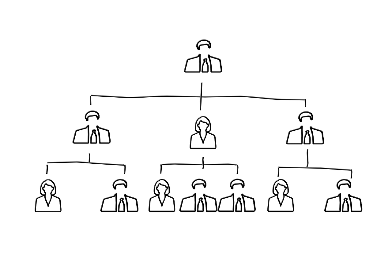 The functional organizational structures and the Project Managers