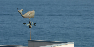 predictive analysis