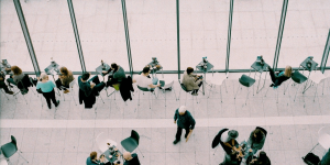 shareholder e stakeholder differenze