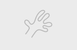 Webinars de Twproject